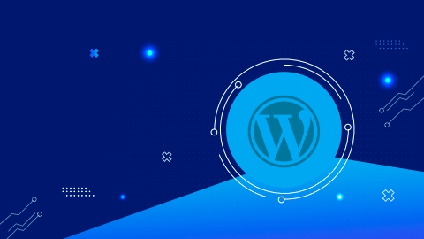 wordpress troubleshooting